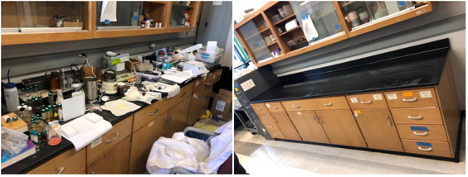 Before And After Lab Cleanup