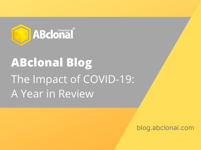 COVID-19 Year in Review Cover