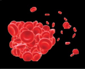 Cell Proliferation Marker, Cell Proliferation