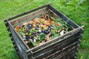 Compost Pile