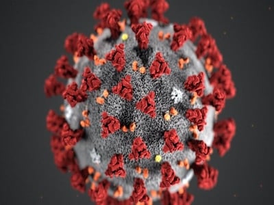 SARS-CoV-2 coronavirus