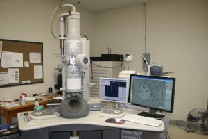 Electron Microscope-1