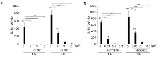 Fig4