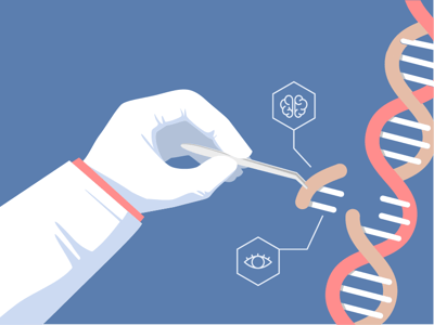 Gene Editing, antibody validation