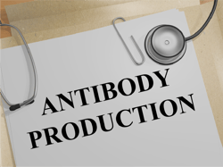 Monoclonal Antibody Production Methods