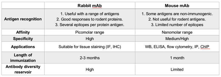 Mouse mAb vs. Rabbit mAb