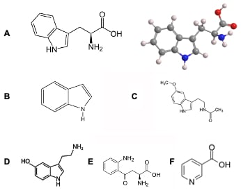 Tryptophan Metabolites