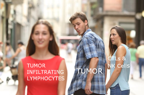 Tumor Love Triangle