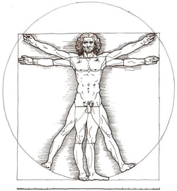 The Vitruvian Man