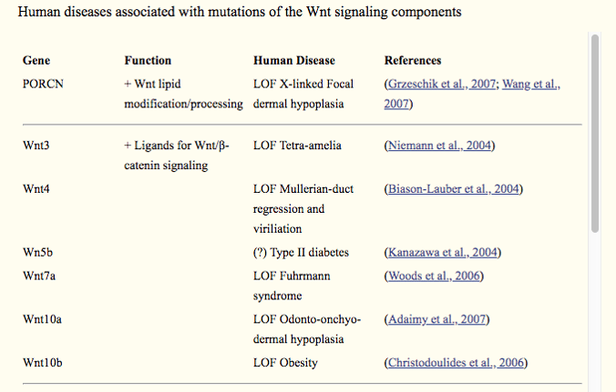 Human diseases associated with Wnt signaling componennts