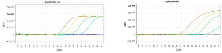 Amplification curves