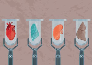 Bio-engineered organs