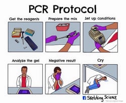 PCR-Protocol