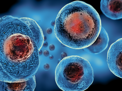 Embryonic Stem Cells-01-1