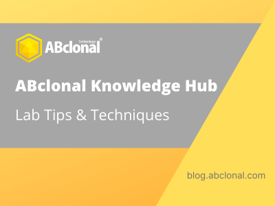 lab tips